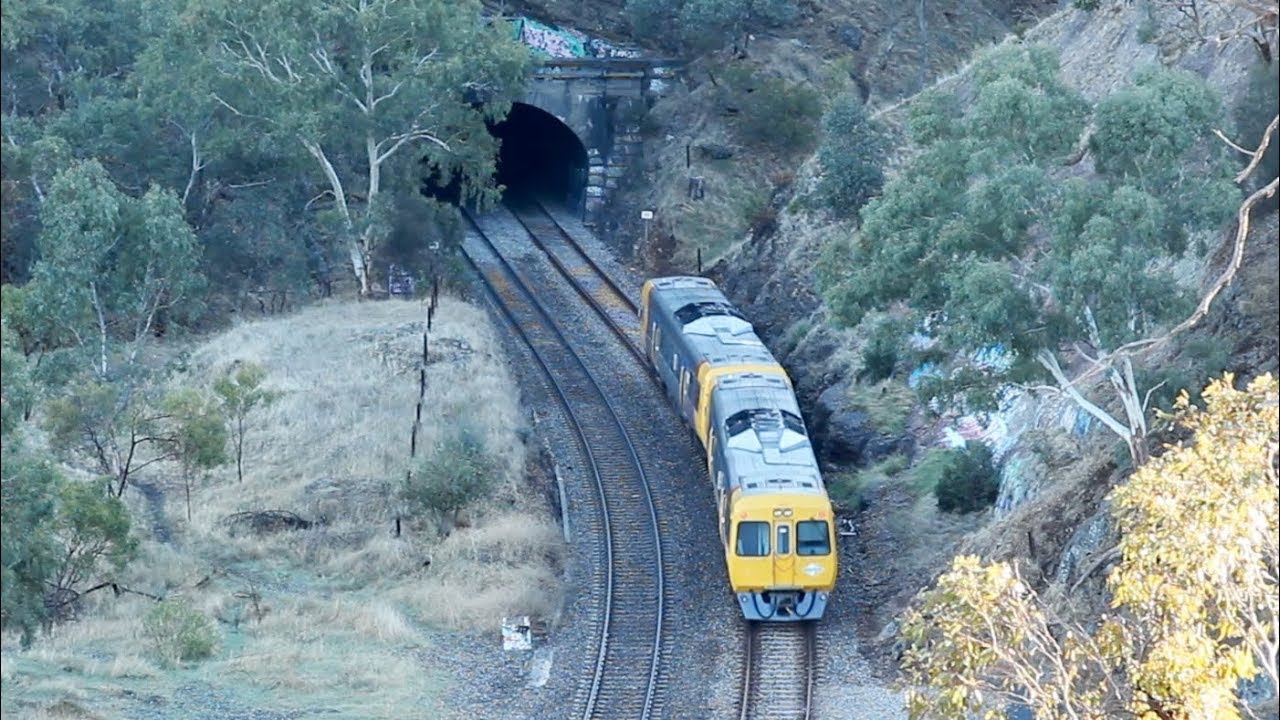 Belair Line - Sleeps Hill Tunnel 6/5/19
