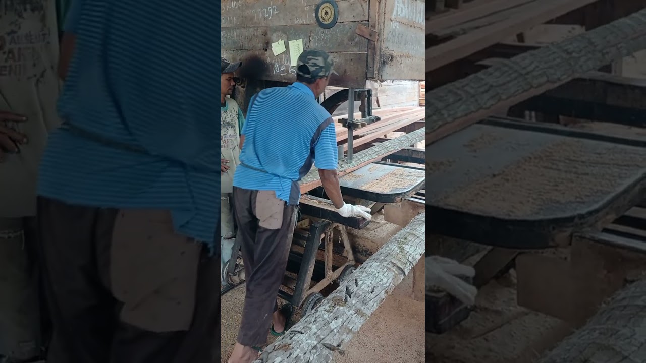 Discover How to Cut Coconut Tree Wood with Precision for Smooth Cuts!