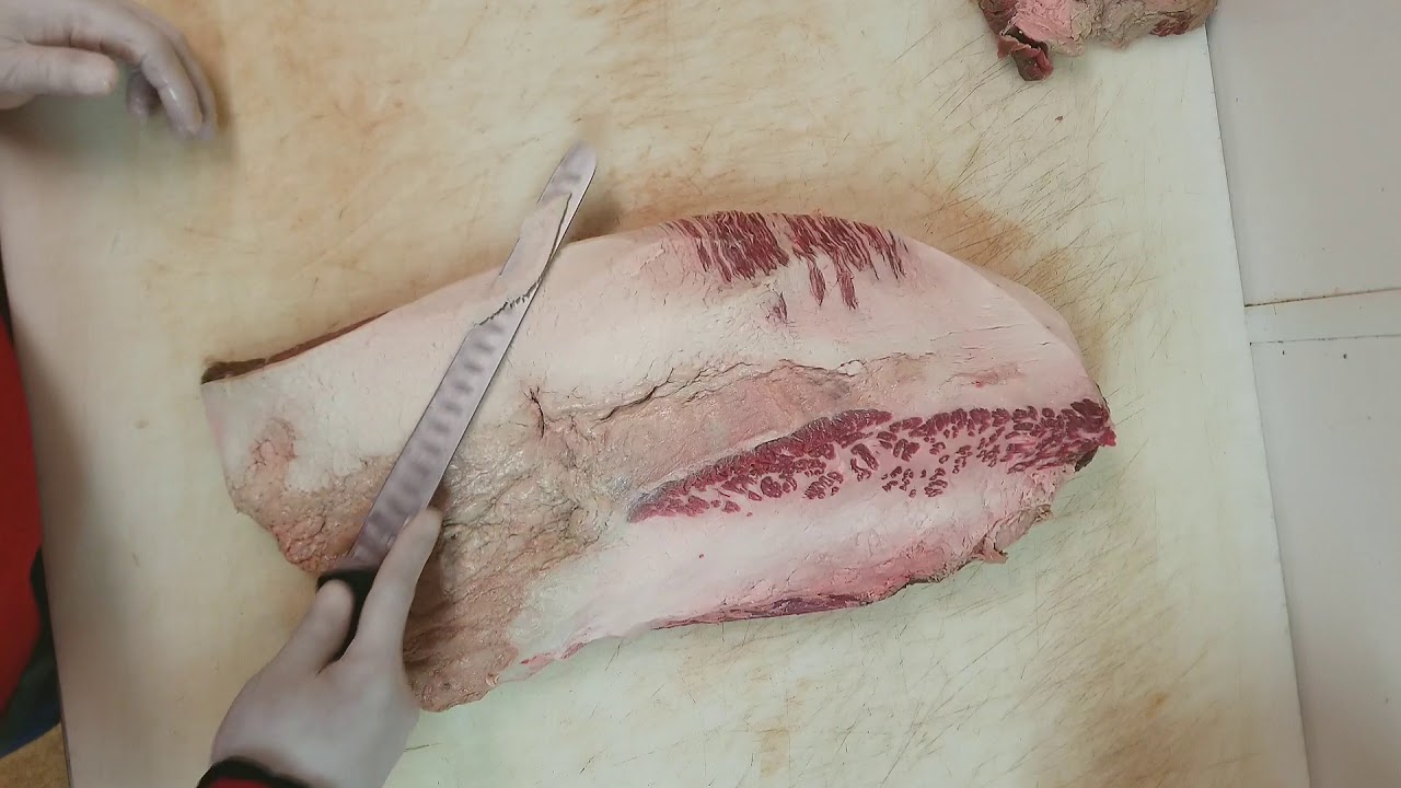 IBCA competition brisket trim