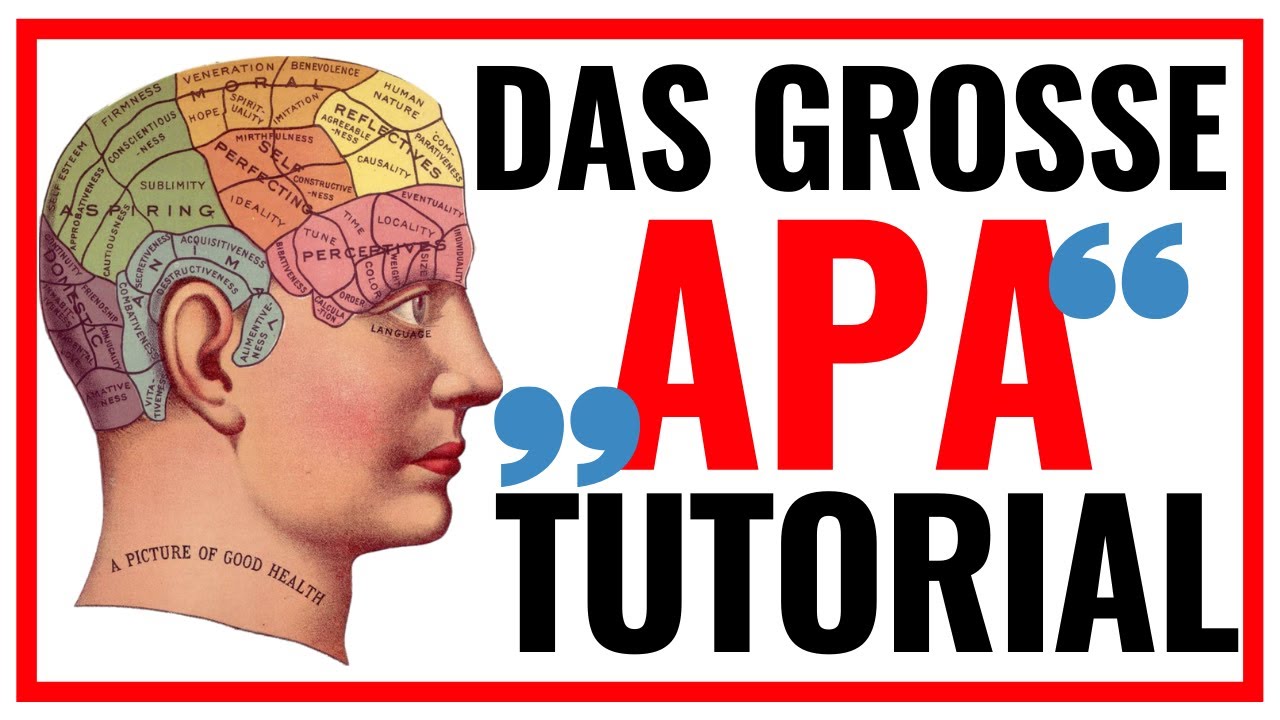 APA Style zitieren (Grundregeln, Beispiele, Software-Tools) 🖋️