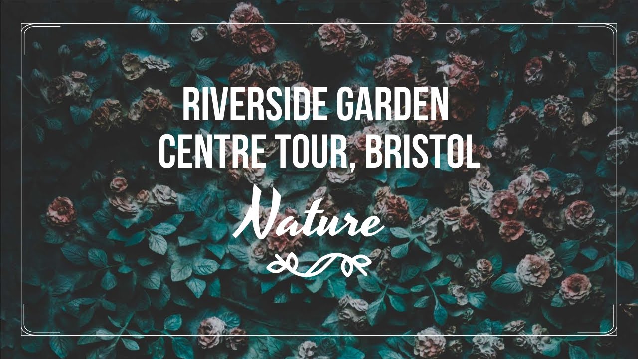 BEST GARDEN CENTRE IN THE UK | Riverside Garden Centre Bristol