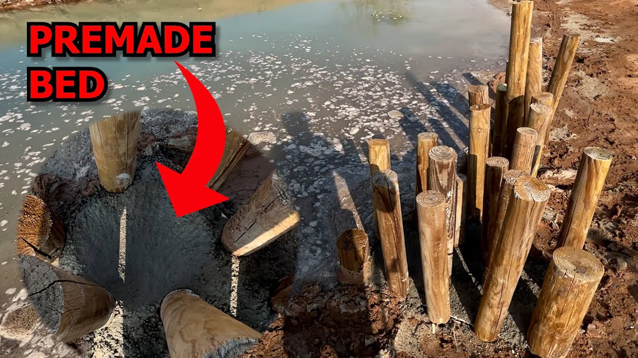 ADDING STRUCTURE TO MY BACKYARD BASS POND! (STUMP FIELD)