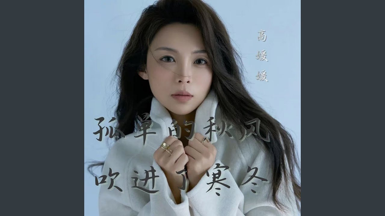 孤单的秋风吹进了寒冬 (卡点节奏版)