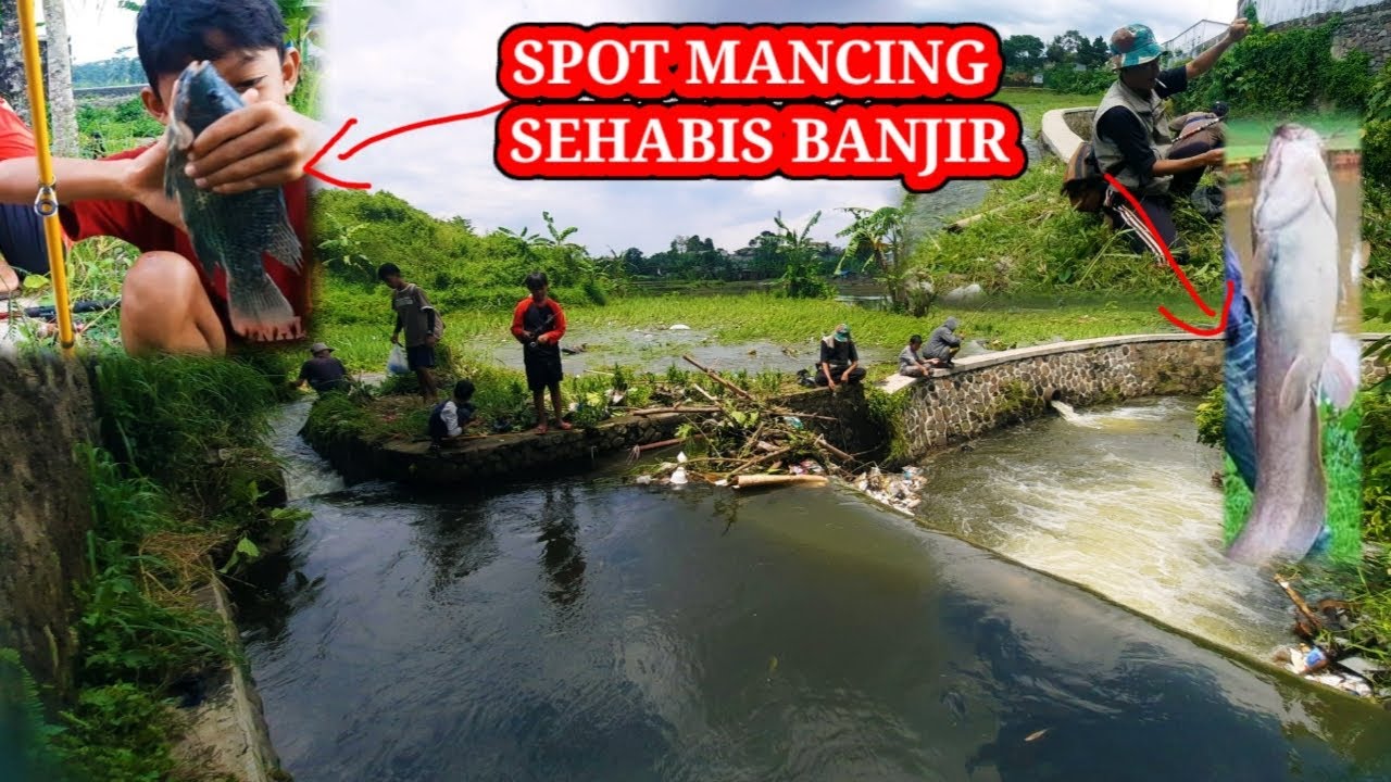 Pertama Kali Mancing Di Spot Bekas Banjir Bikin Ketagihan!! Fishing