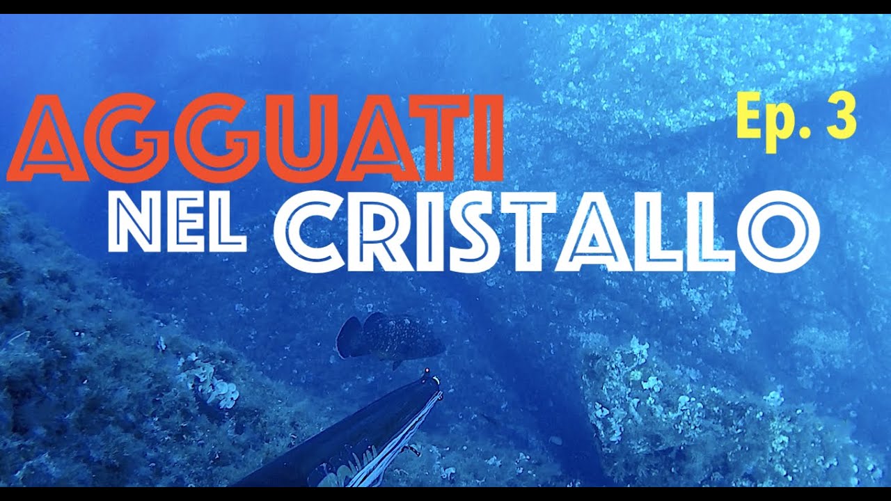 💥 Pesca Sub AGGUATI EOLIANI con LGsub REVOLUTION