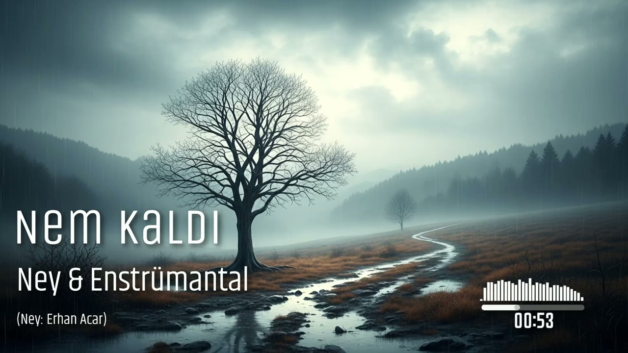 Ney & Instrumental - Nem Kaldı