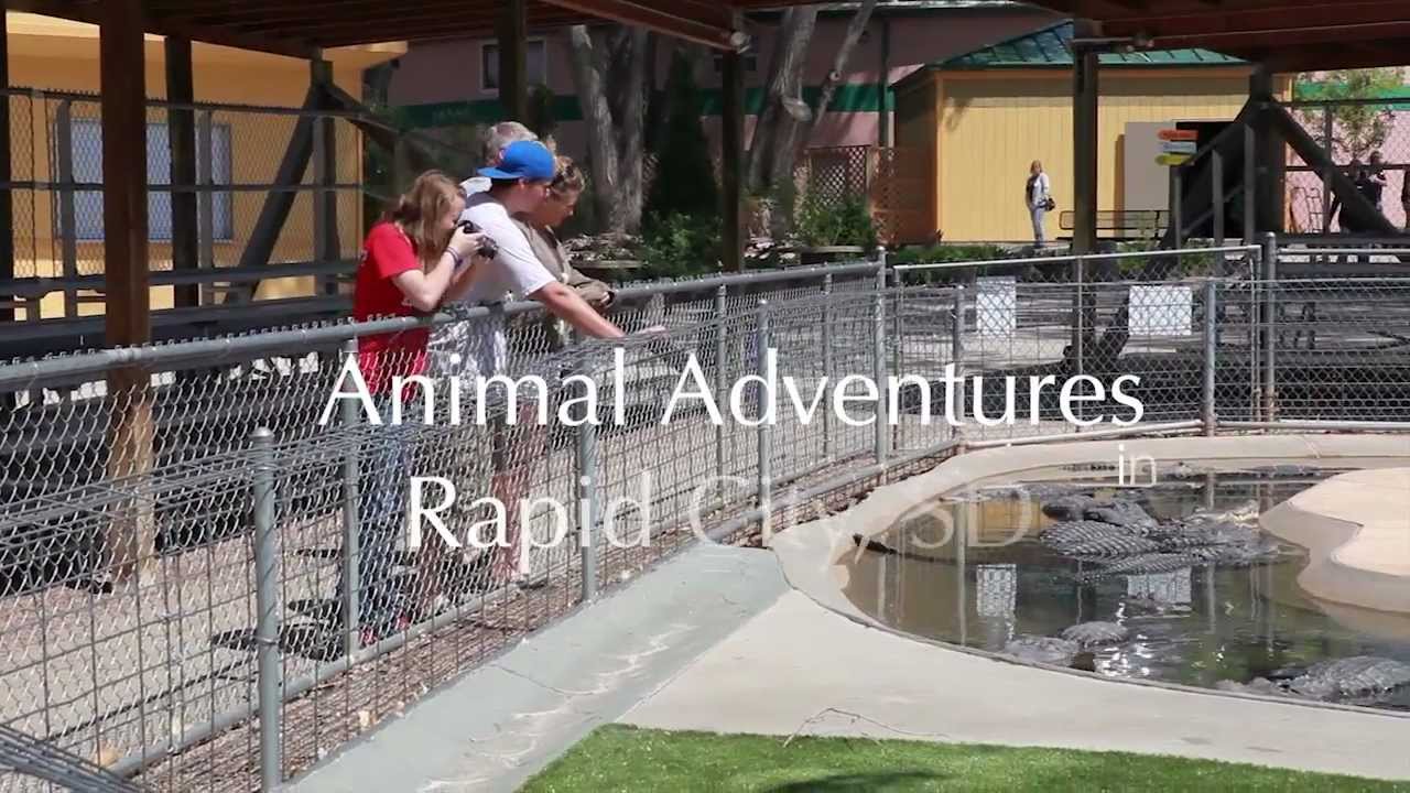 Animal Adventures in Rapid City, South Dakota
