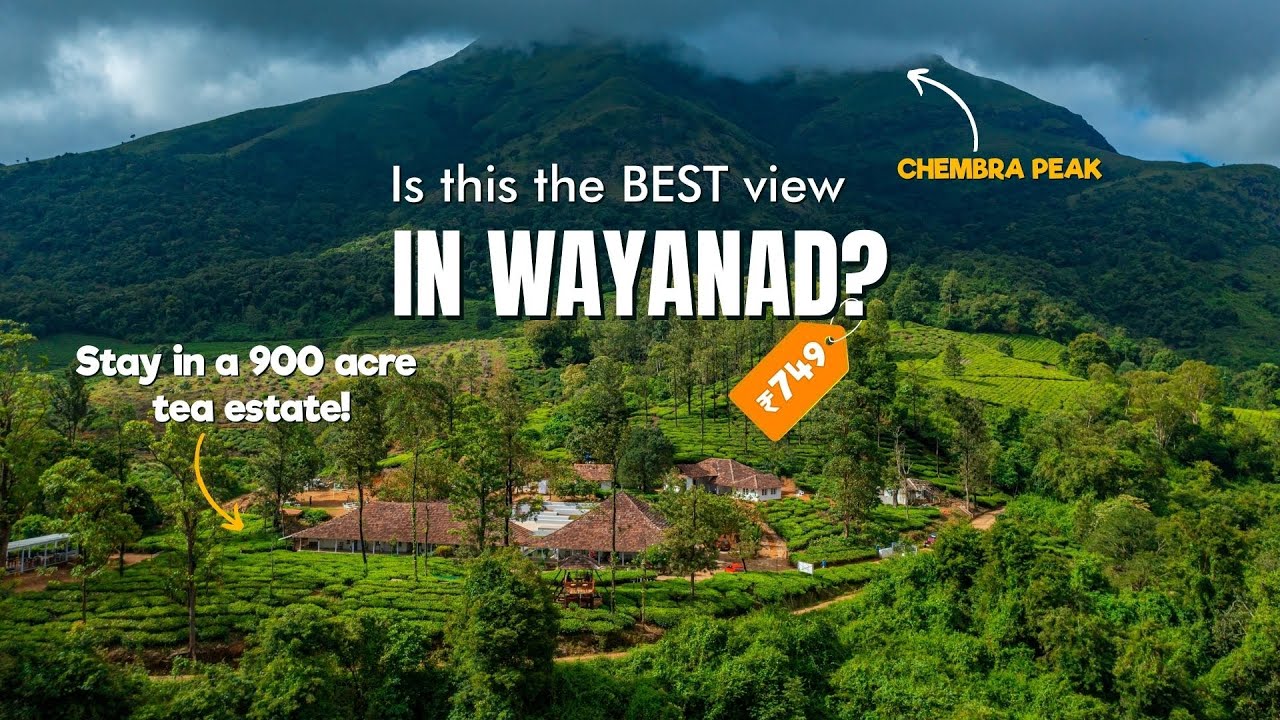 Where to Stay in Wayanad | Zostel Plus Wayanad | Wayanad Tourist Places Resort | Chembra Peak Hotel