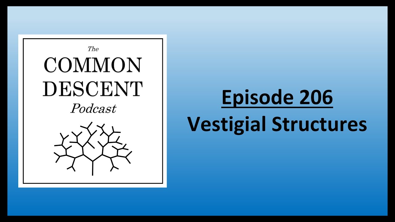 Episode 206 - Vestigial Structures