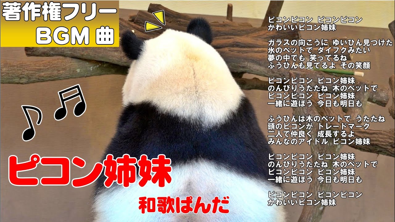 大反響🎉著作権フリーBGM「ピコン姉妹」曲入り🐼頭から離れないと話題作😍