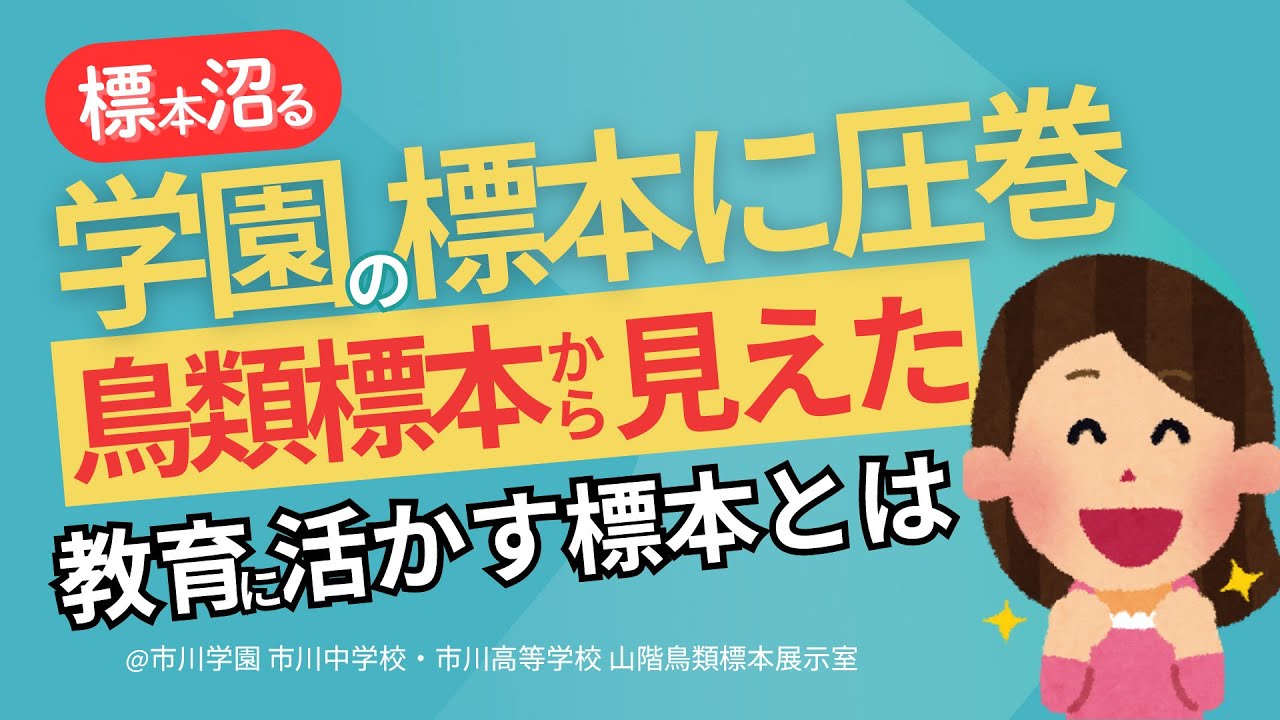 市川学園（千葉県市川市）＃山階鳥類標本展示室　学園に眠る圧巻の標本！教育に活かす標本とは！　＃市川学園　#市川中学校　#市川高等学校　#山階鳥類　#標本ナビ #絶滅危惧種 　#絶滅