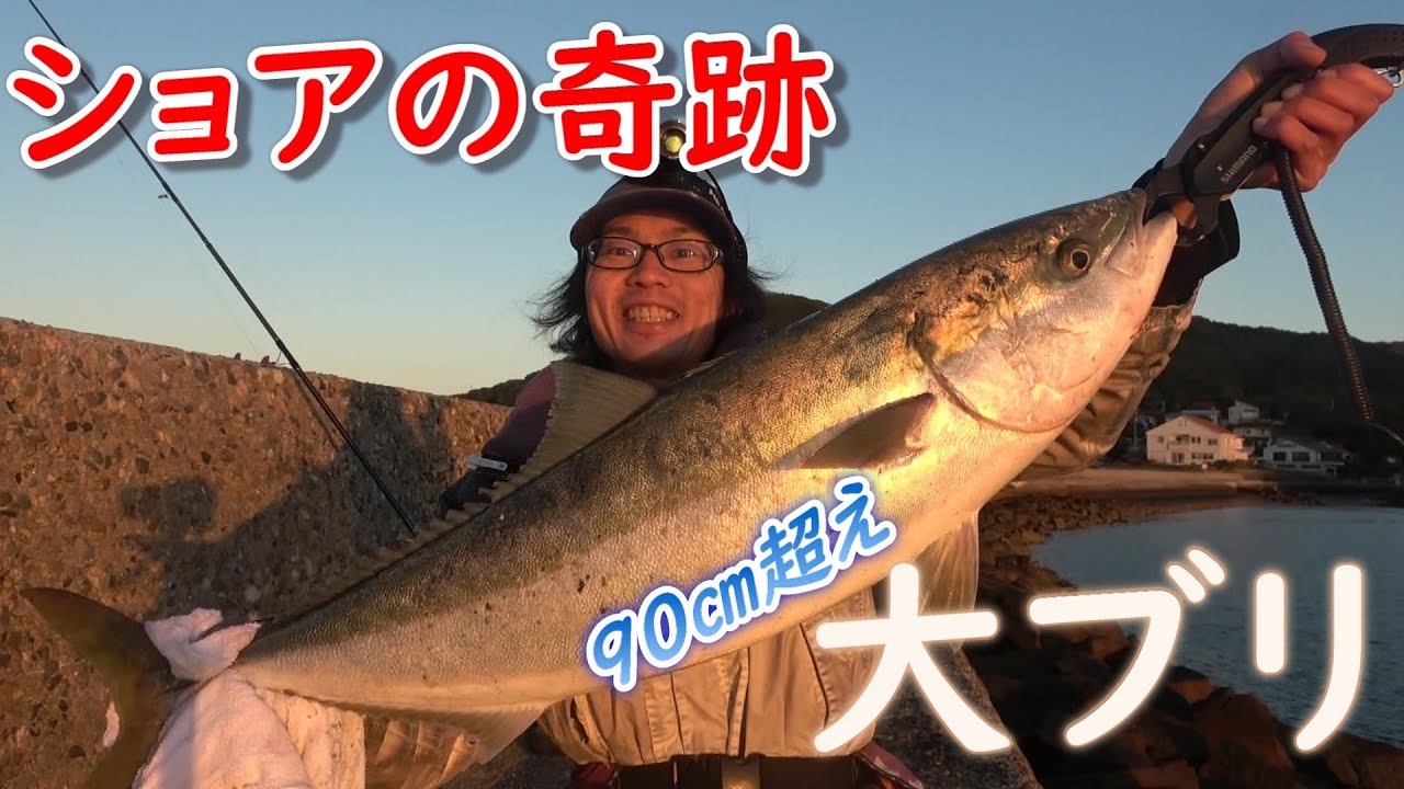 90センチ超え！ショアから大ブリGET！