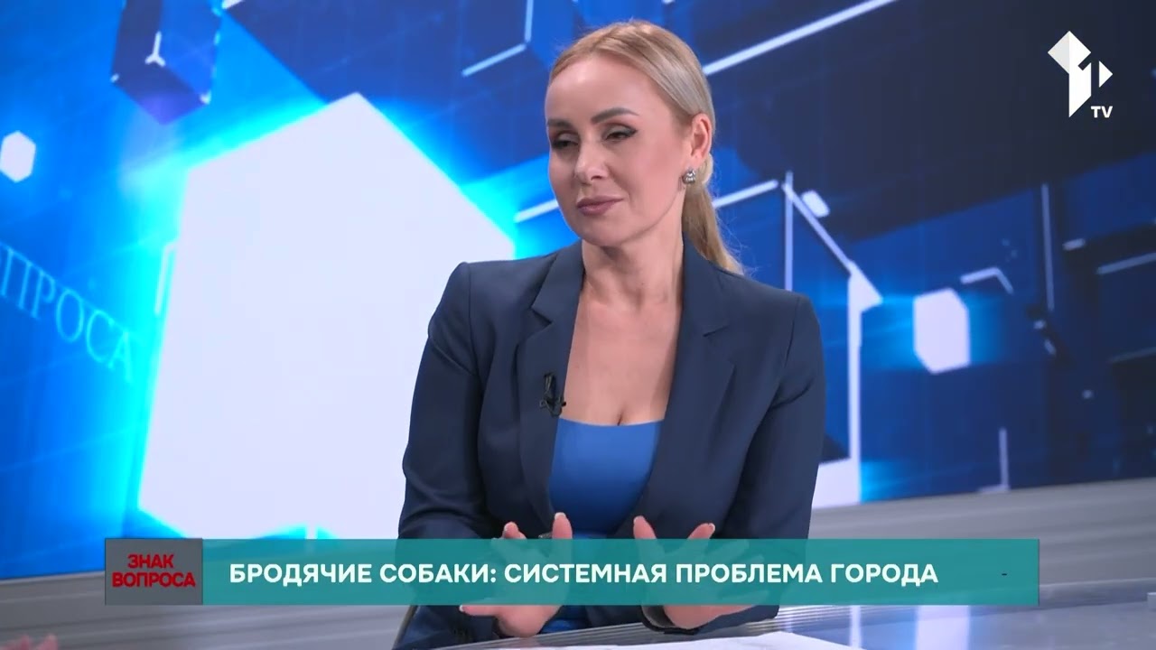 Почему в Кишиневе не могут решить проблему бродячих собак?