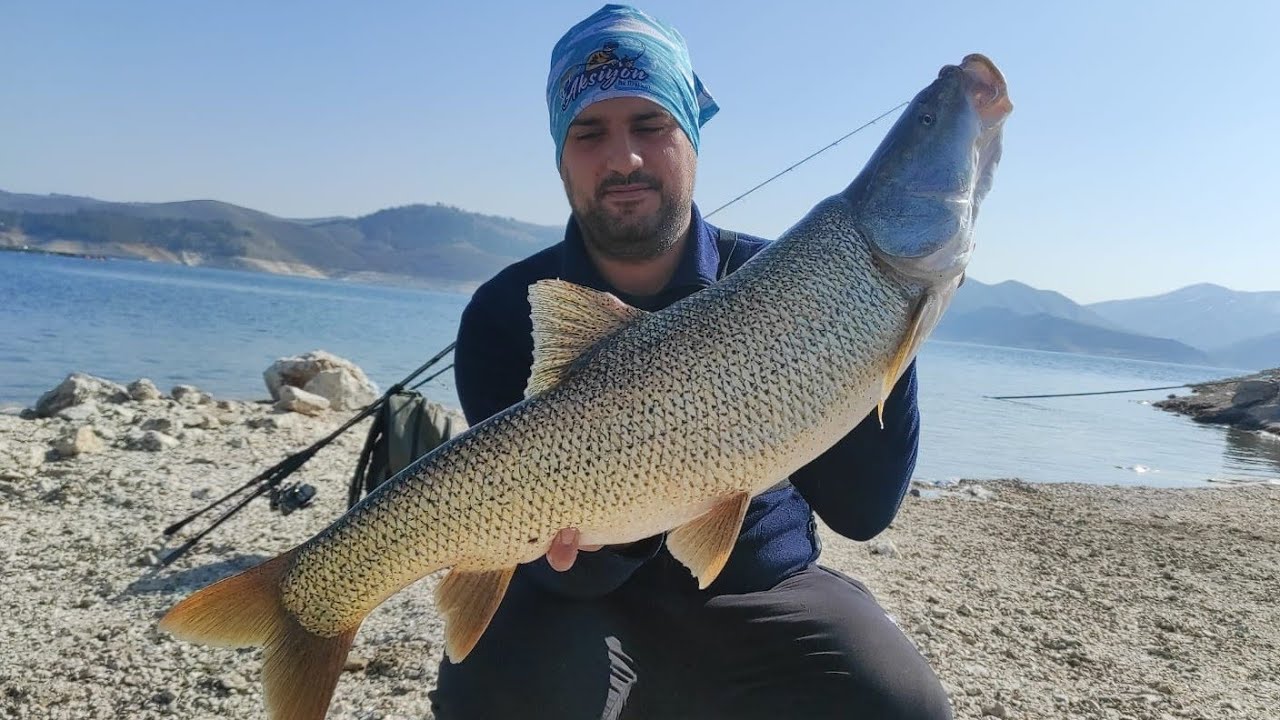 27 GR AKSİYON OVAL KAŞIK FIRAT TURNASI AVI / KEBAN BARAJI #fish #fishing #elazığ