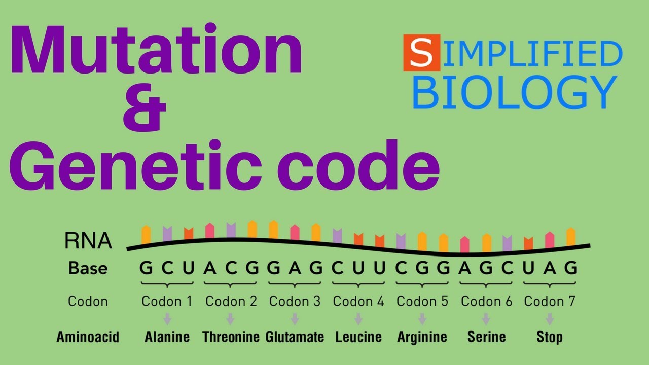 MUTATION AND GENETIC CODE for NEET, AIIMS, AIPMT, MCAT, JIPMER, PREMED