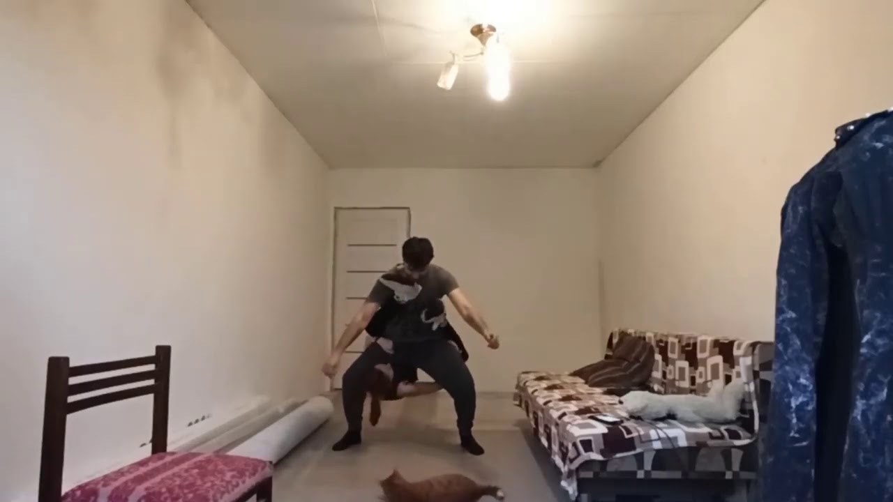 #koalachallenge 🐨🤘🤘🤘💥💥💥