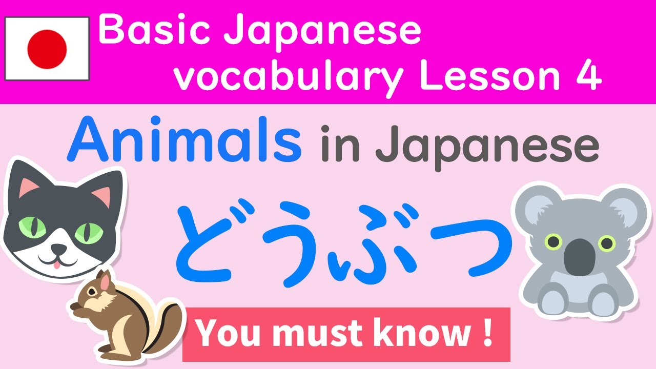 Basic Japanese Vocabulary Lesson4 