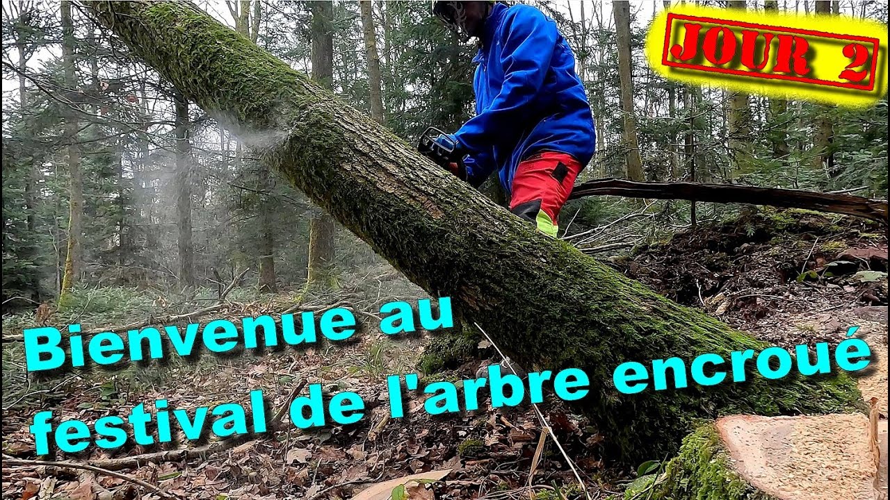 [EN MODE BUCHERON] J2- FESTIVAL D'ARBRES ENCROU&Eacute;S et je casse mon tourne-bille... 🌳🪓🪵🪚🌲