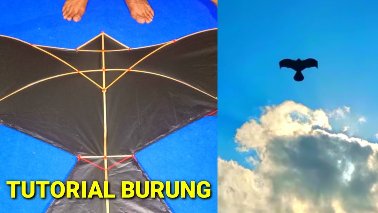 Cara membuat layangan burung elang 2 meter