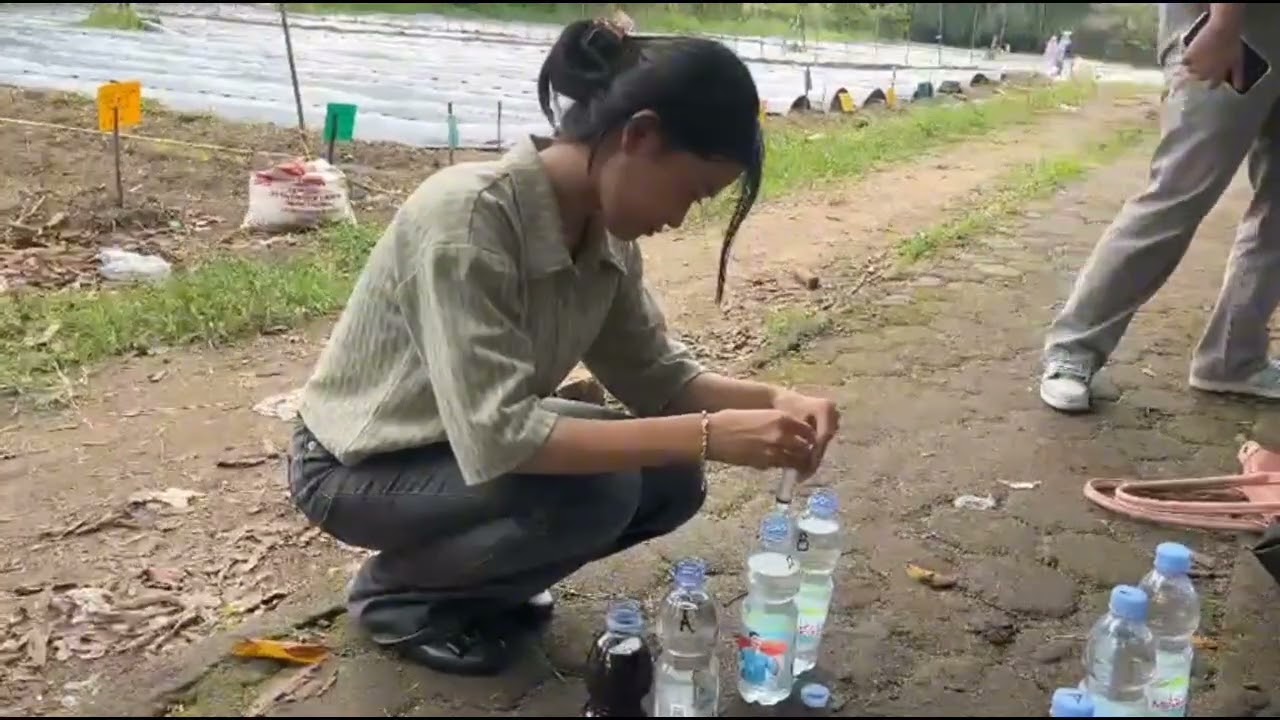 Praktik Lapangan (Meidinda Amelia Putri_Minggu 3_Pakcoy)
