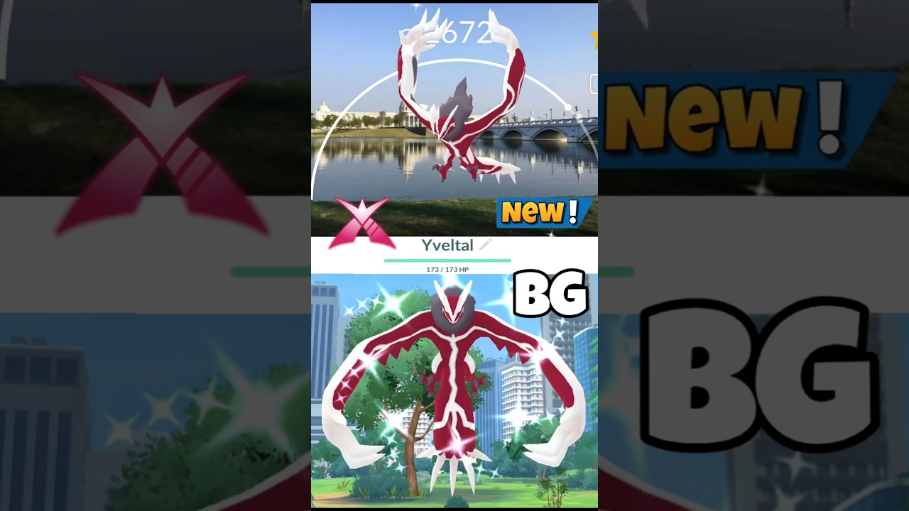 Когда я получил ✨️блестящего Ивелтала в рейде на BG в Pokemon Go
