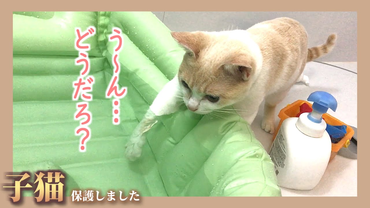 【やさしい】赤ちゃんのやけどを未然に防いでくれる子猫