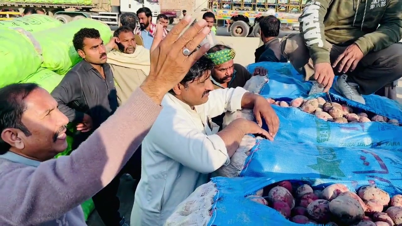 potato update vagitabel markeat hujra shah muqeem 25/1/2026