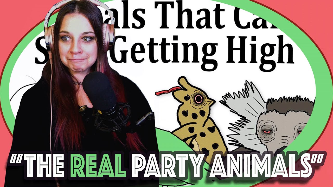 Bartender Reacts Top 10 Animals That Love Being High--Good Enough *Let's PARTAYYYYY*