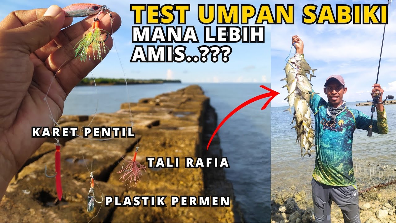 SEPERTI MANCING DI KOLAM BABY GT‼️TERNYATA UMPAN SABIKI INI LEBIH KILLER 😱