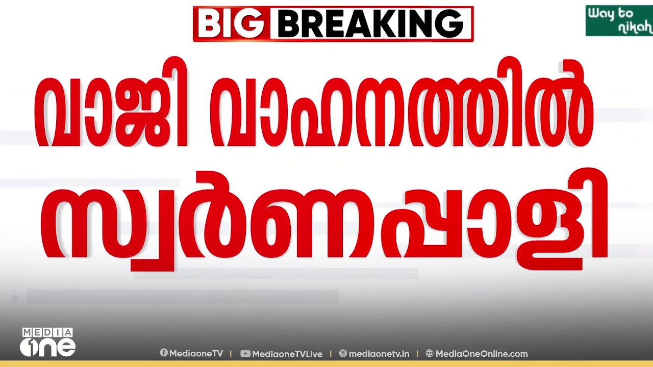 'ശബരിമലയിൽ സ്വർണം ഒട്ടിച്ചത് ഞാൻ തന്നെ'; സ്വന്തം സ്വർണം നൽകിയെന്ന് വെളിപ്പെടുത്തി സുരേഷ് ഗോപി