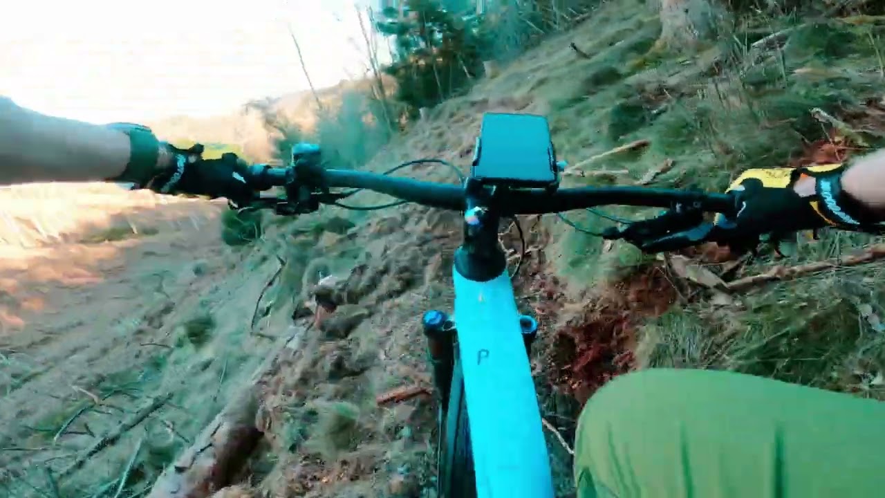 MTB Tecklenburg collection - M2