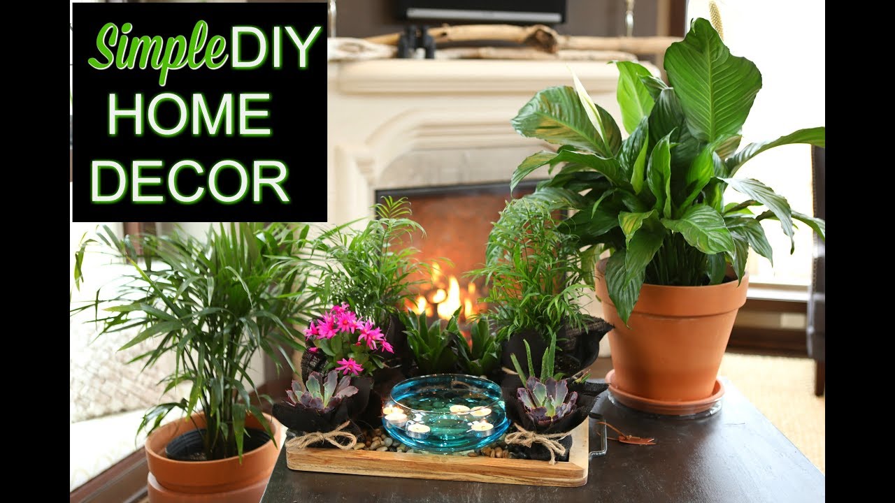 Simple DIY Home Decor | 'The Plant Platter' | Indoor Gardening