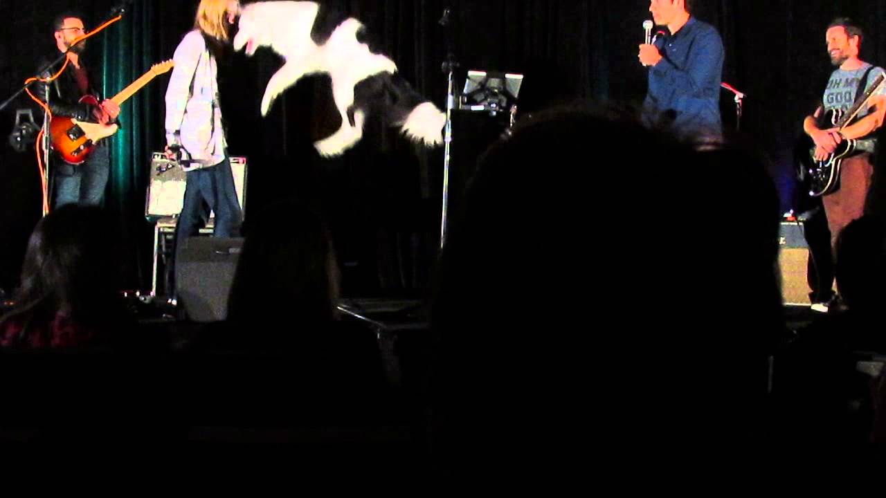 Misha Collins Dog Tricks, Sara and Hero, Supernatural Toronto Con 2014