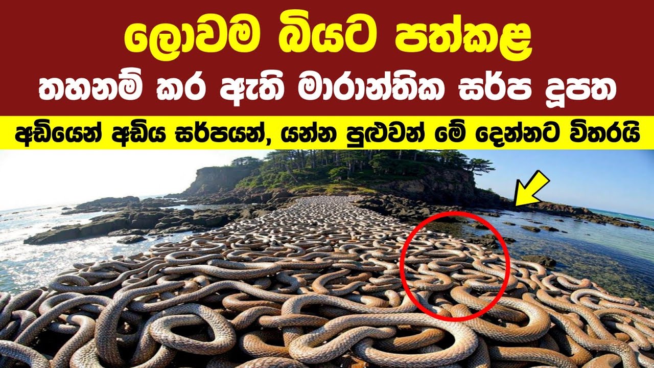 ලස්සන උනත්, සොබාදහමේ භයානකම සහ මාරාන්තිකම ස්ථාන 10 මෙන්න | අම්මෝ! පය ගහන්නවත් හොඳ නෑ 😱