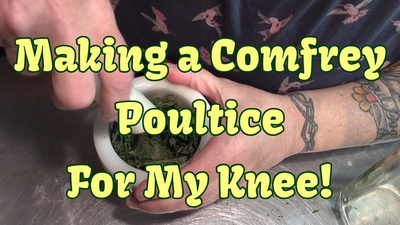 A Comfrey Poultice For My Knee!