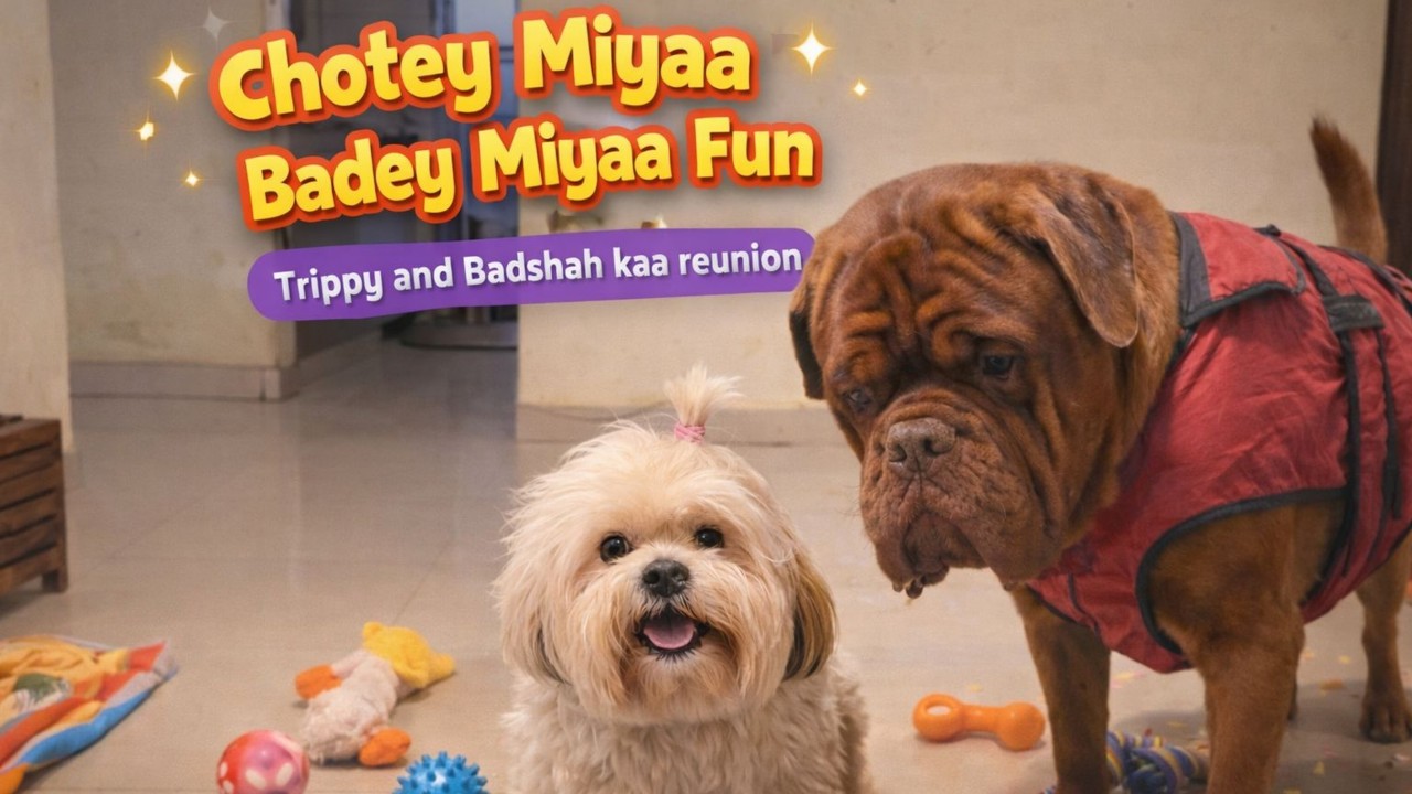 Badshah x Trippy 🐕🔥 | Jab Mile Do Legends – Full Entertainment