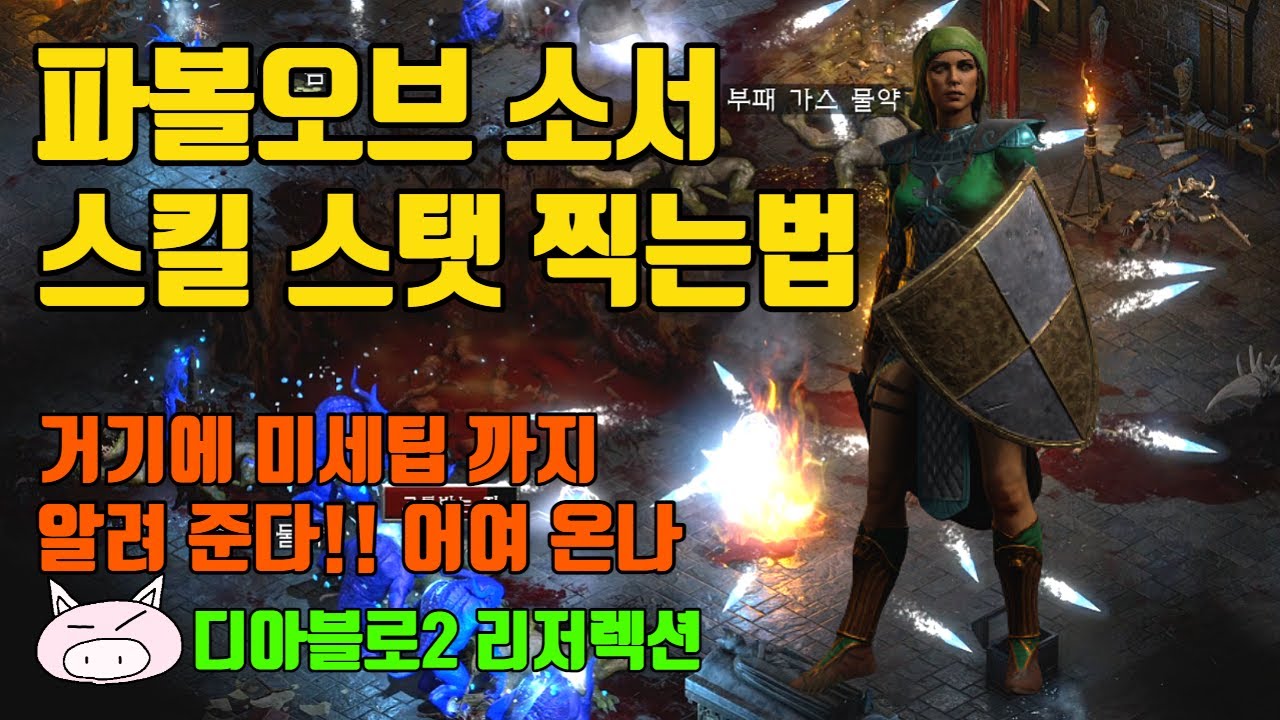 디아블로2레저렉션 파볼오브소서 스킬스탯 찍는법 ,미세팁 까지 알려 드립니다~!! 디린이들 어서 오고~