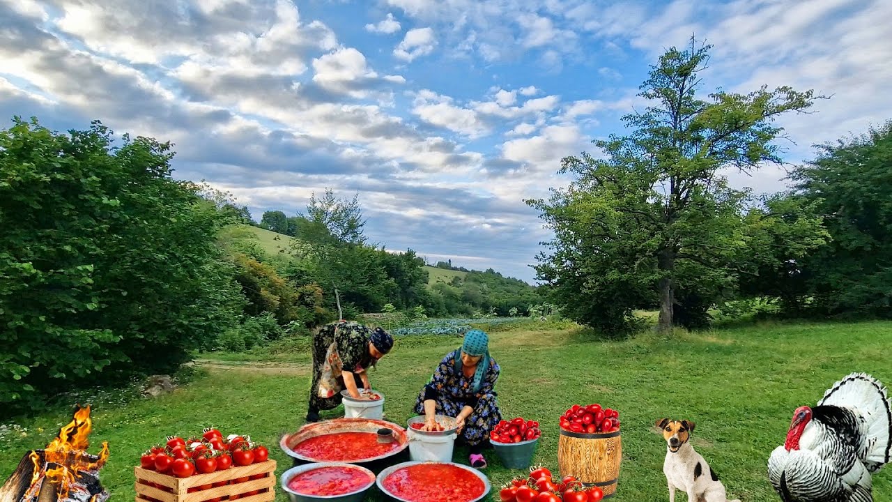 Готовим Томатный Пасту. Лучший Рецепт Домашней Томатной Пасты. @Kənd Dadı | A Taste of the Village