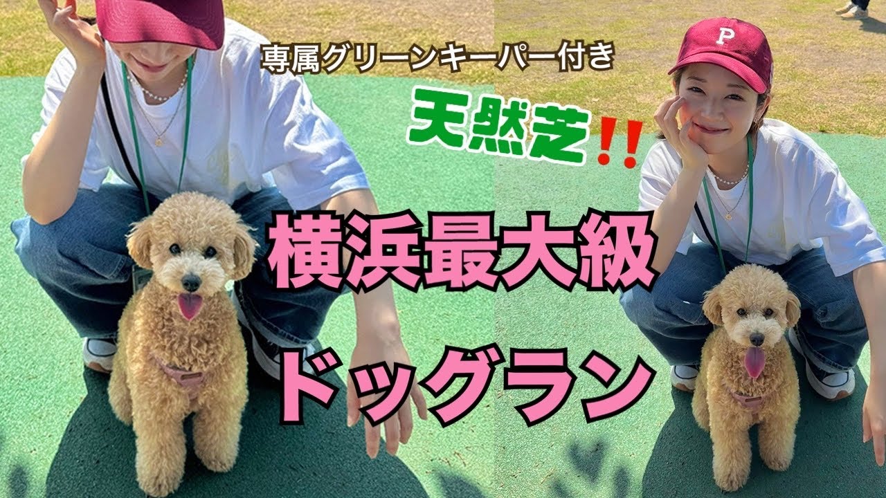 【ドッグラン】新横浜公園に行って来たら想像以上だった‼️
