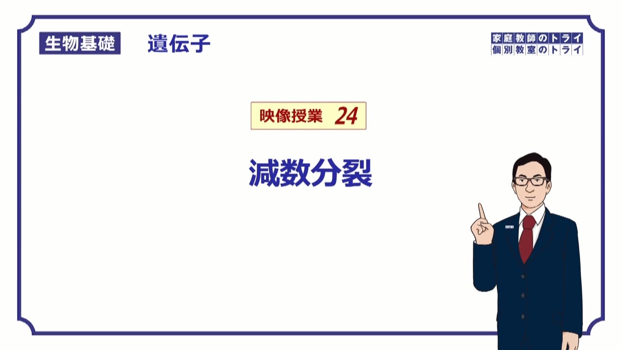 【生物基礎】　遺伝子24　減数分裂　（１５分）