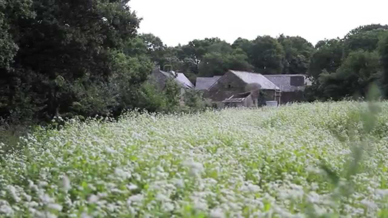 Naissance d'un collectif, visite de la Coudraie