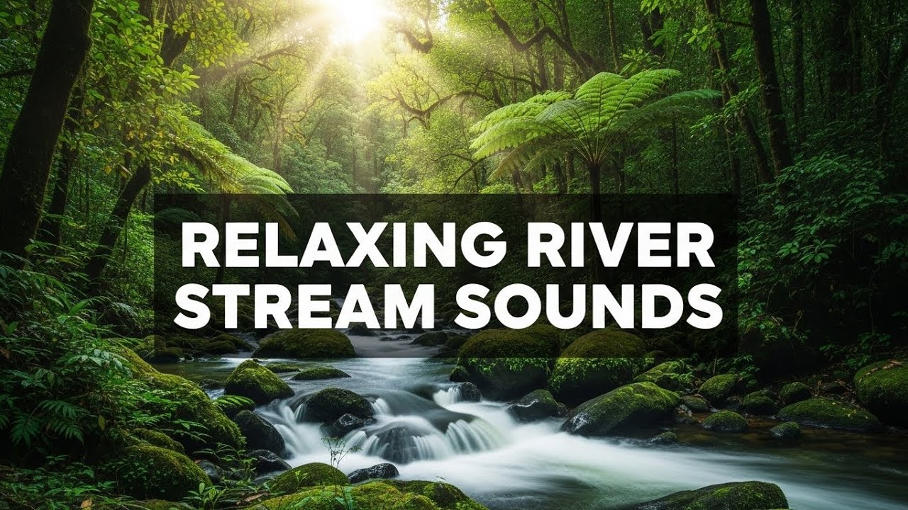 Rocky Creek Waters: Relaxing Water Sounds for Better Sleep and Peaceful Mind