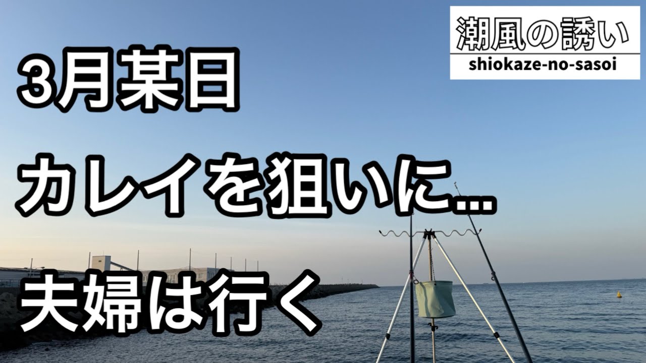 【カレイ狙い】堤防から竿2本！何があがる？