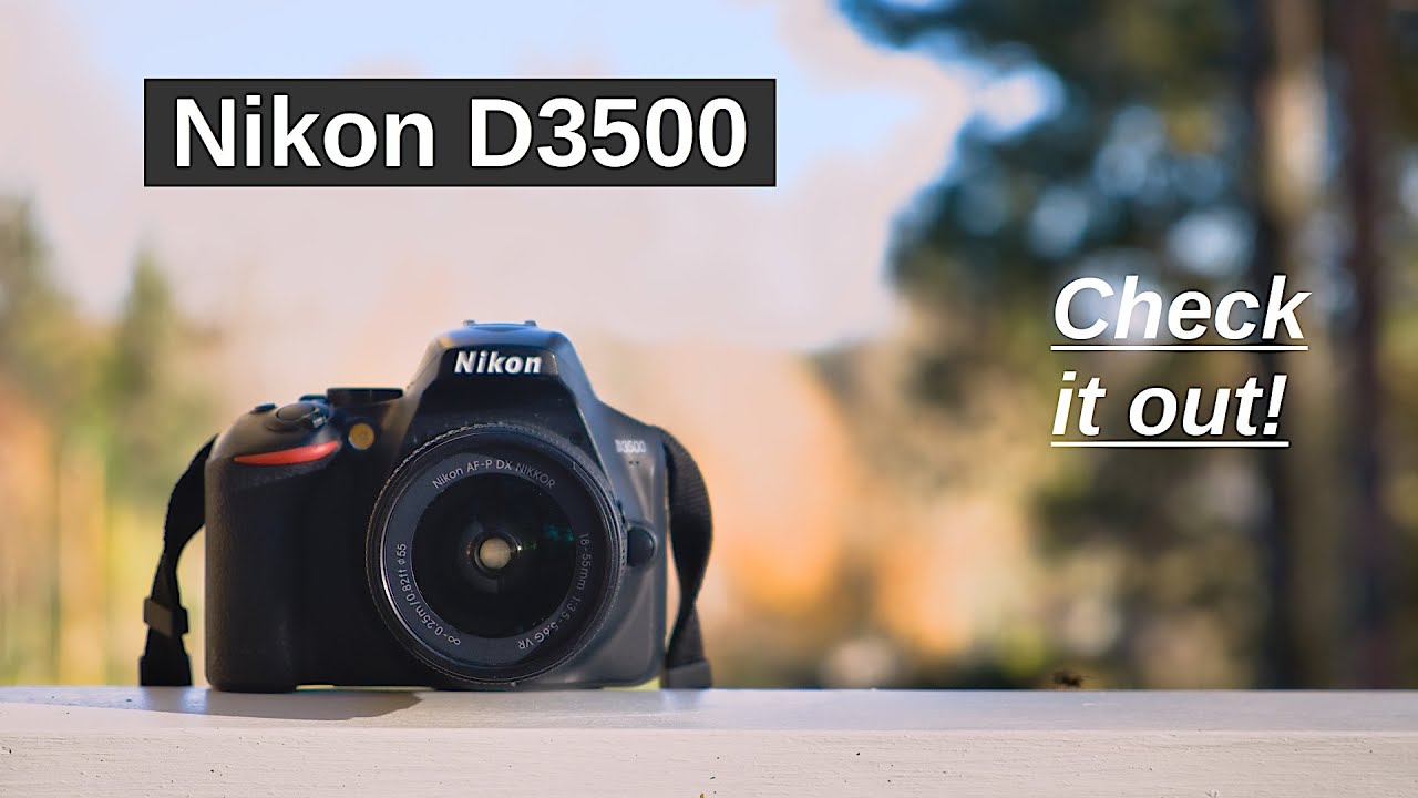 Nikon D3500 – an excellent option to consider