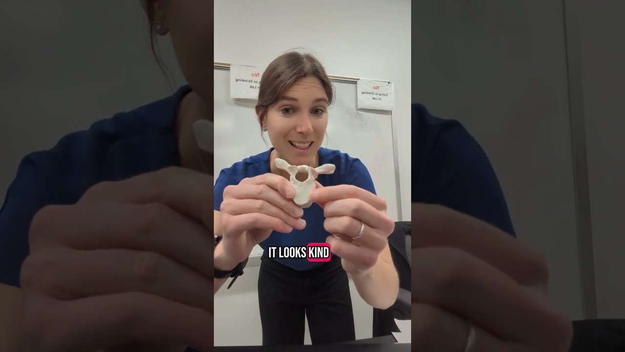 Let's review some differences between typical regional vertebrae #anatomy #anatomyandphysiology