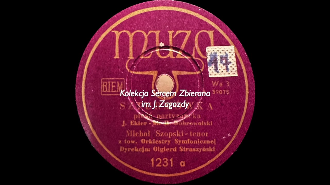 Szturm&oacute;wka - Michał Szopski