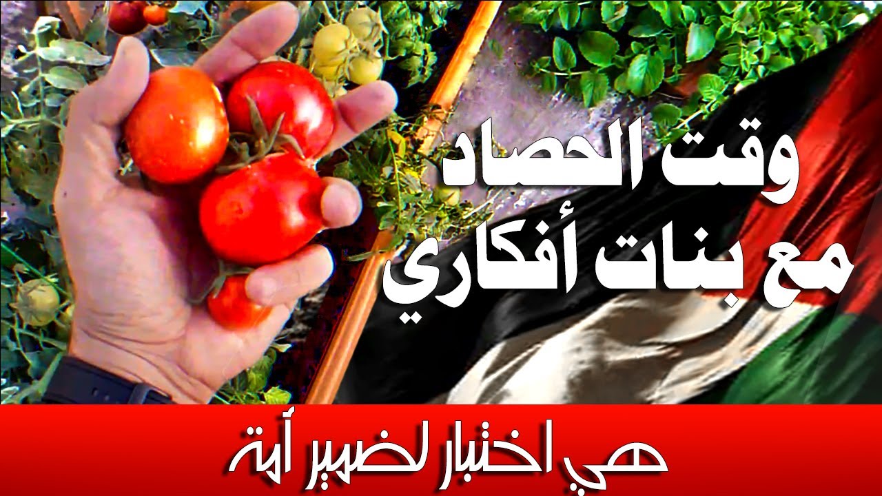 من جوا عقلي خواطر و أفكار انسان يعيش في سنةthoughts & ideas of a person living in the year 2025