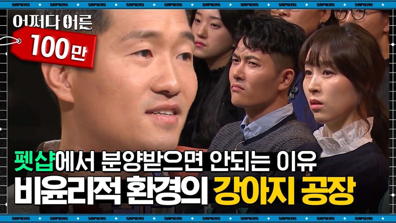 강형욱 반려견 훈련사 #04 | 펫숍의 강아지들이 대부분 배변 패드에 앉아 있는 이유 | #어쩌다어른 #사피엔스