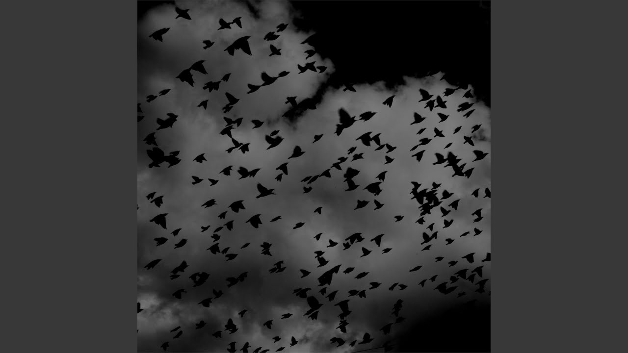 Noir Espace