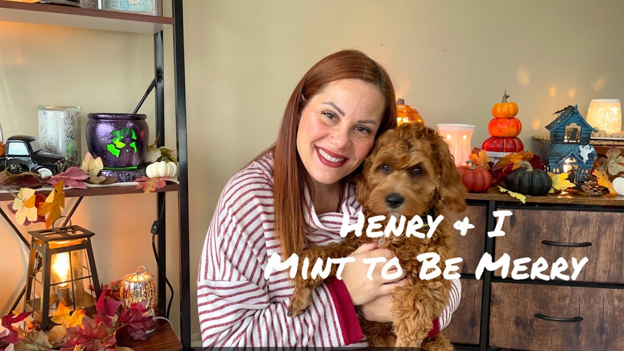 Scentsy November Warmer & Scent of the Month ~ Mint to Be Merry 2023